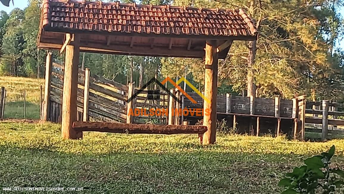 Chácara, 3 quartos, 2 hectares - Foto 8