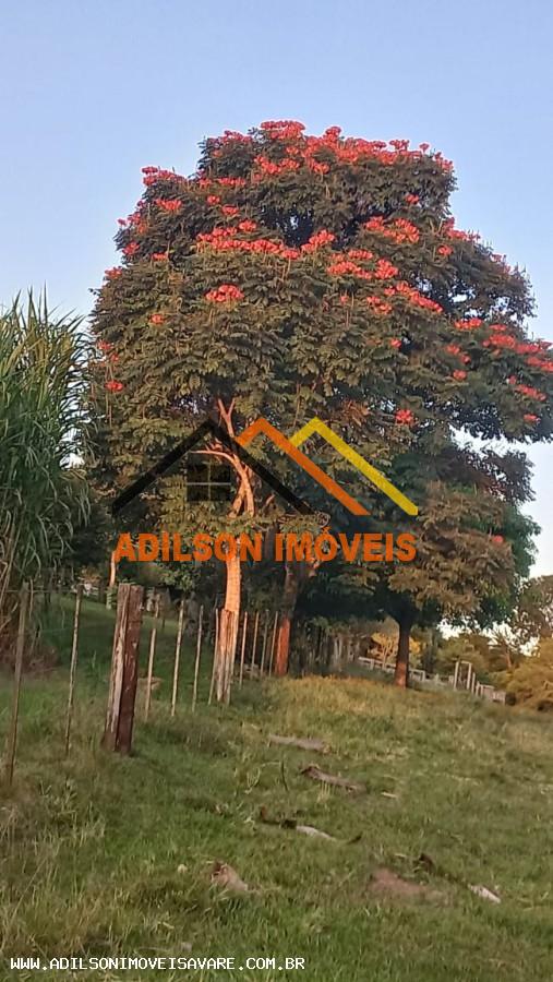 Chácara, 3 quartos, 2 hectares - Foto 12