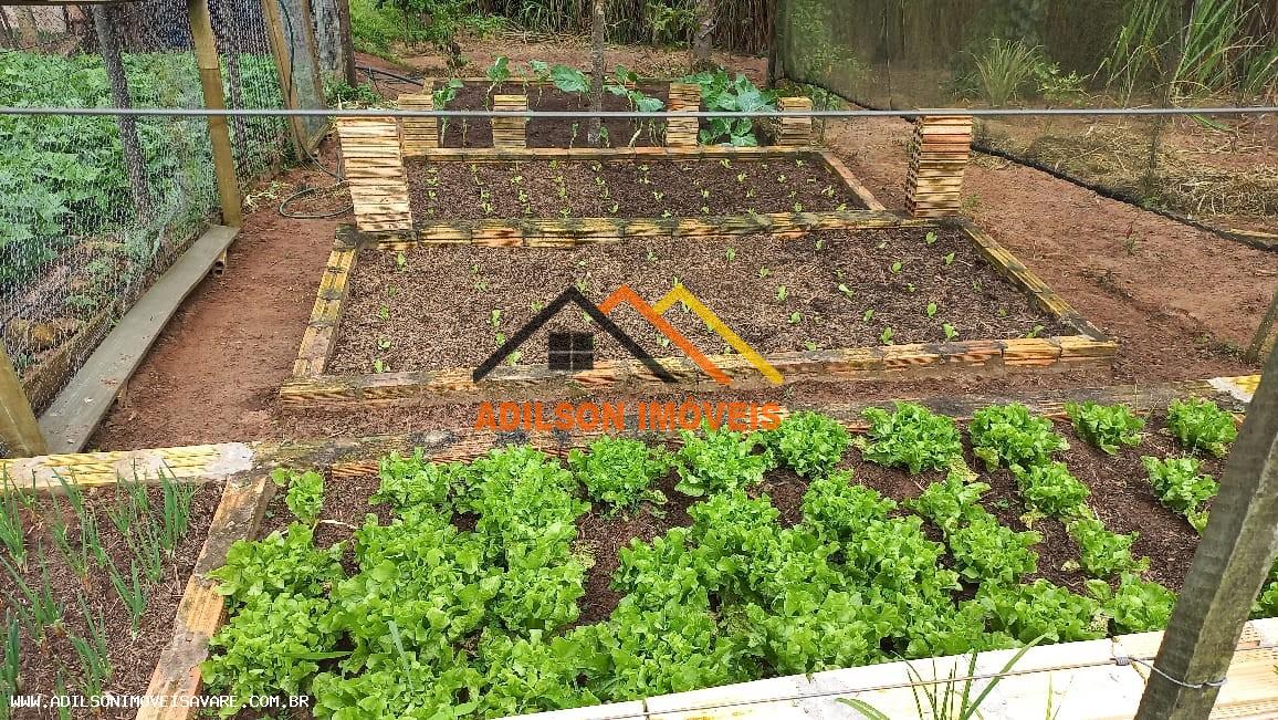 Chácara, 3 quartos, 2 hectares - Foto 18