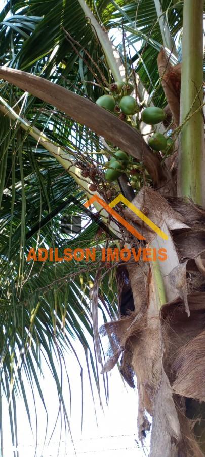 Loteamento e Condomínio - Foto 21