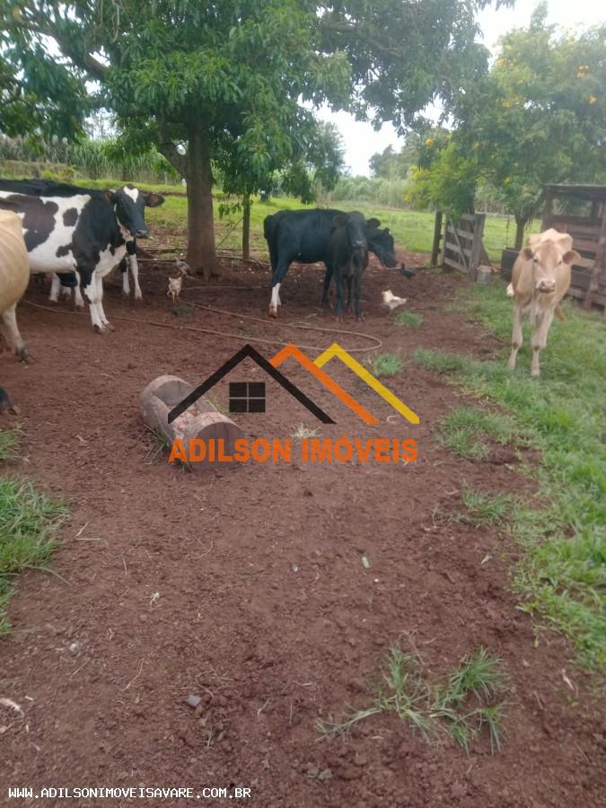 Chácara, 2 quartos - Foto 22