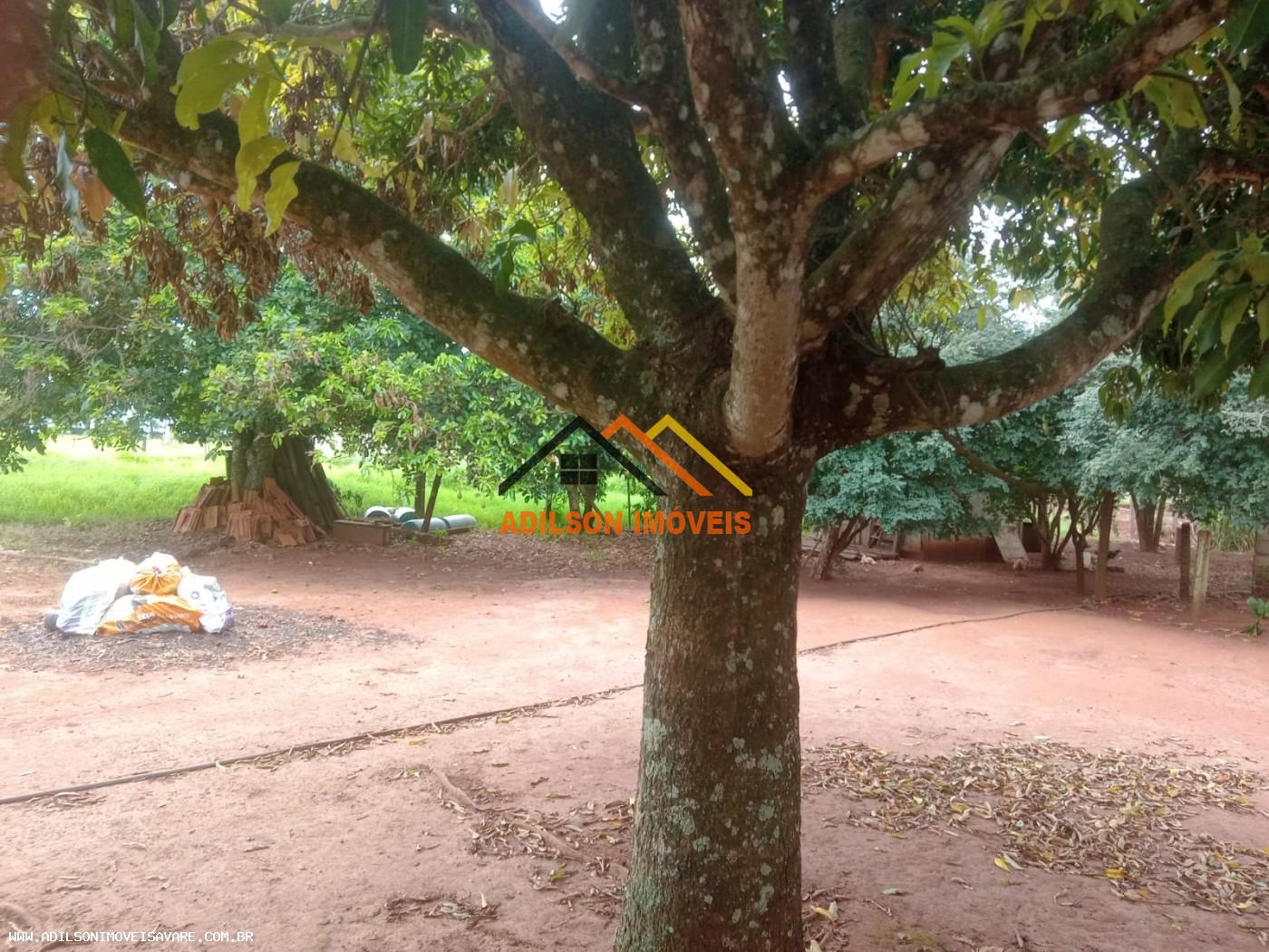 Chácara, 2 quartos - Foto 23