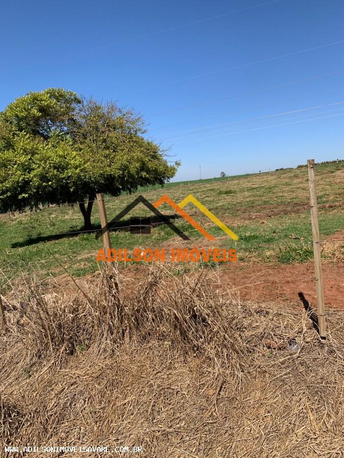 Chácara, 7 hectares - Foto 7