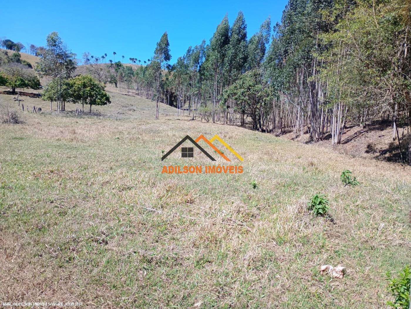 Chácara, 10 hectares - Foto 2