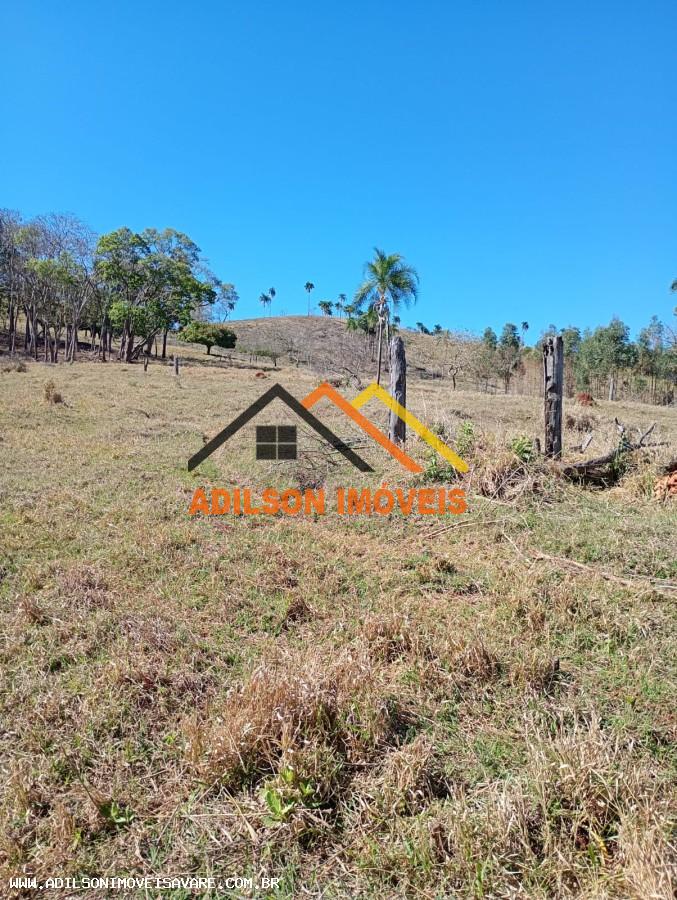 Chácara, 10 hectares - Foto 3