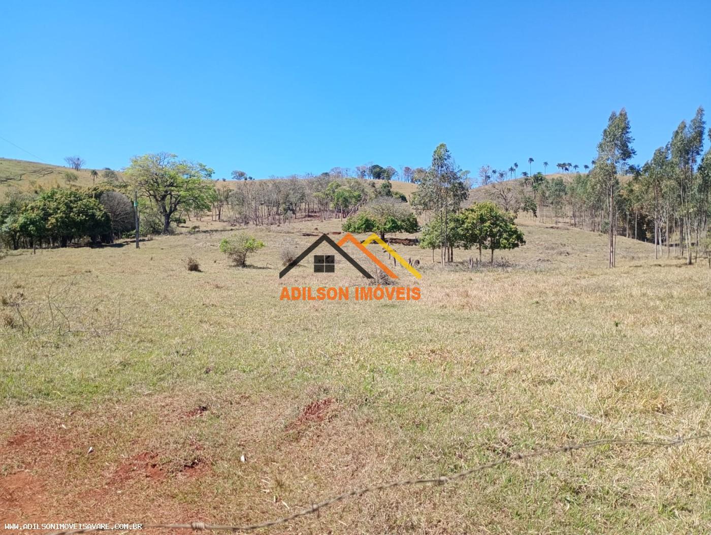 Chácara, 10 hectares - Foto 4