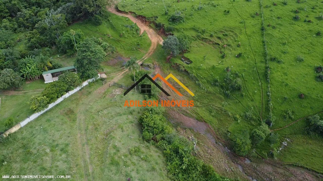 Chácara, 24 hectares - Foto 6