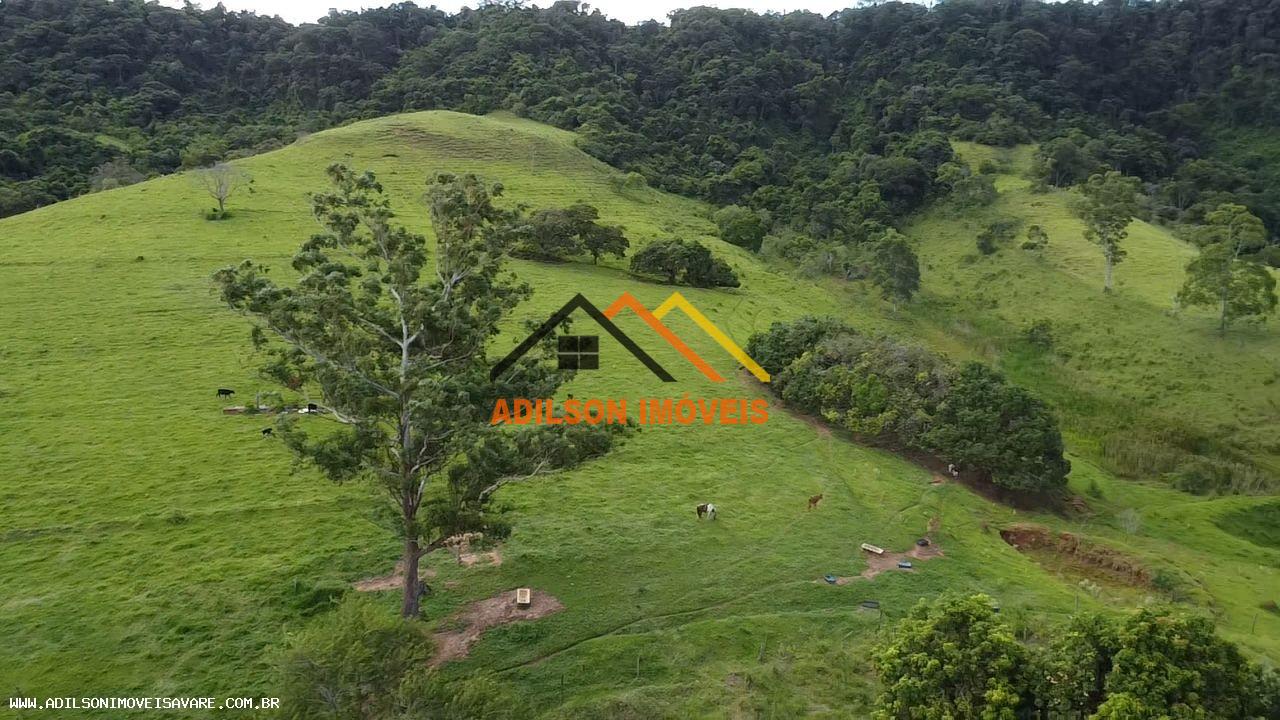 Chácara, 24 hectares - Foto 8