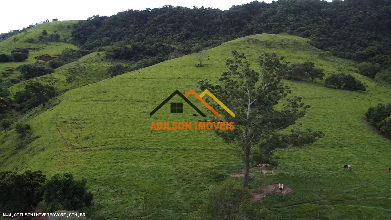 Chácara, 24 hectares - Foto 10