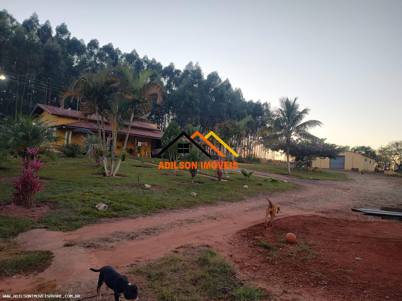 Chácara, 3 quartos, 2 hectares - Foto 2