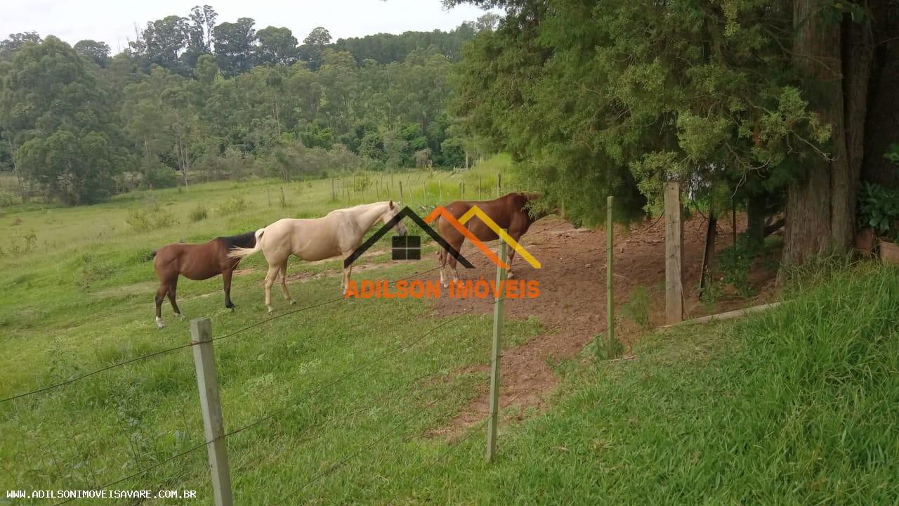 Chácara, 4 quartos, 17 hectares - Foto 17