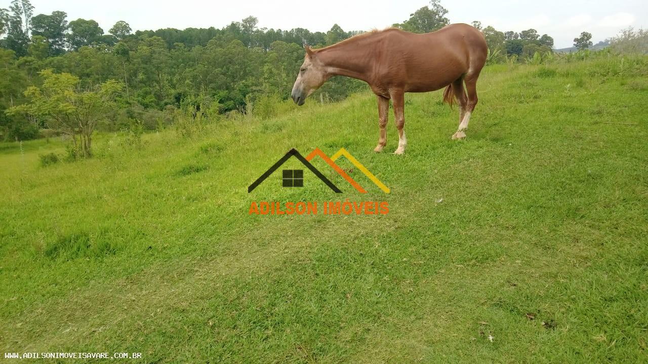 Chácara, 4 quartos, 17 hectares - Foto 30
