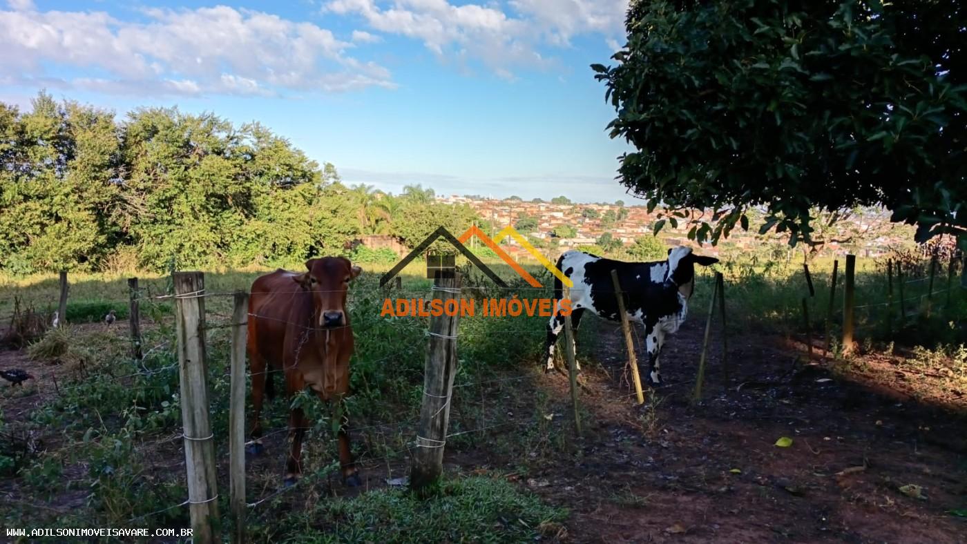 Chácara, 3 quartos, 2 hectares - Foto 7