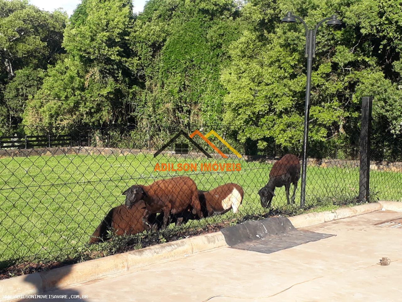 Chácara, 3 quartos, 8 hectares - Foto 17